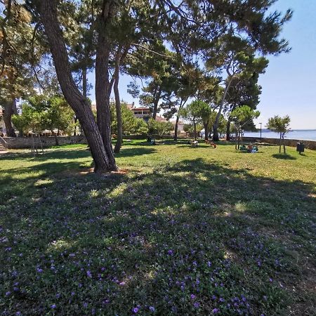 Nina Deluxe Superior 5 Star Apartment, Your Piece Of Heaven By The Sea & Park Novigrad Istria エクステリア 写真