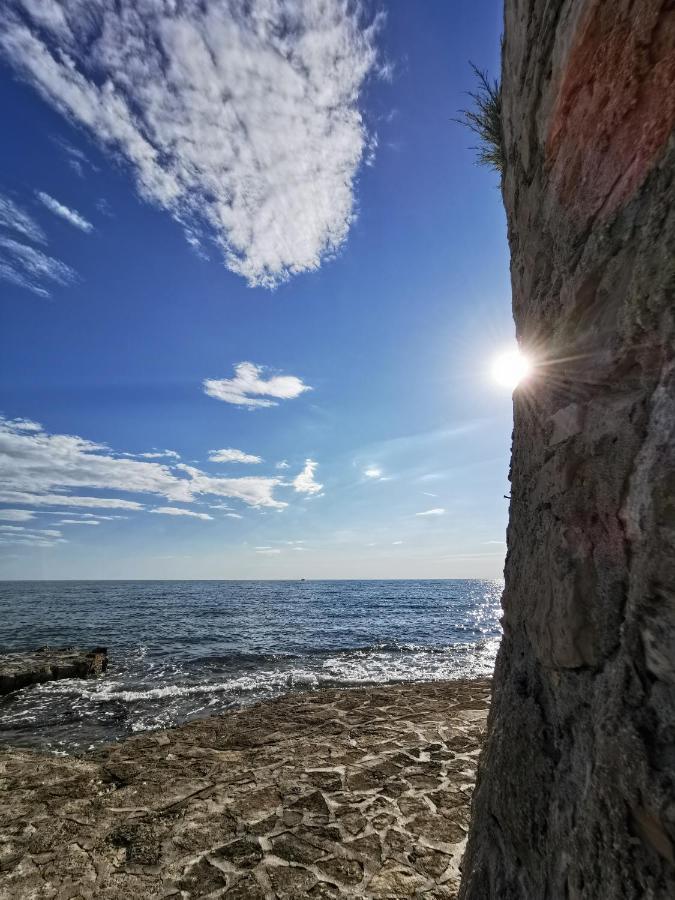 Nina Deluxe Superior 5 Star Apartment, Your Piece Of Heaven By The Sea & Park Novigrad Istria エクステリア 写真