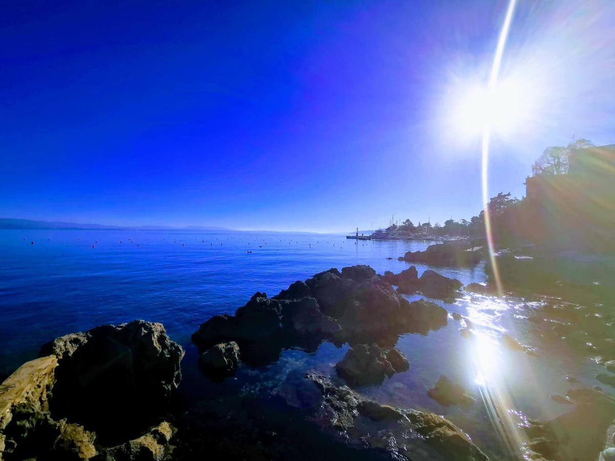Nina Deluxe Superior 5 Star Apartment, Your Piece Of Heaven By The Sea & Park Novigrad Istria エクステリア 写真